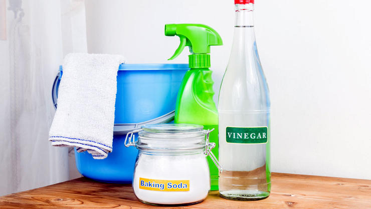 Cleaning mold with vinegar deals