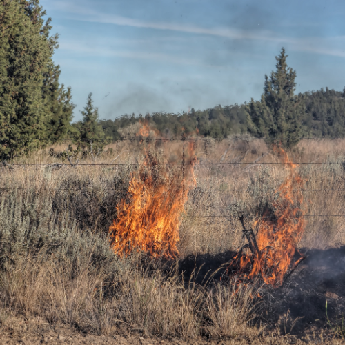 How Do Wildfires Start? Wildfire Safety ServiceMaster Restore®