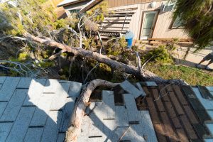 storm damage