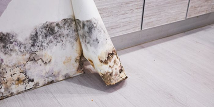 Mold