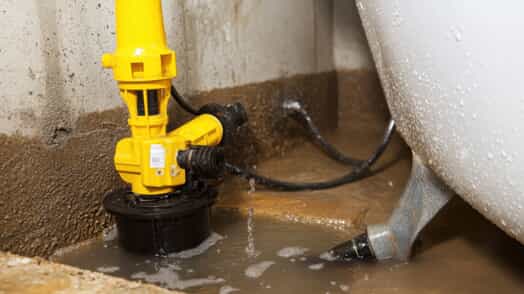 Winter Sump Pump Check for Westland Homes