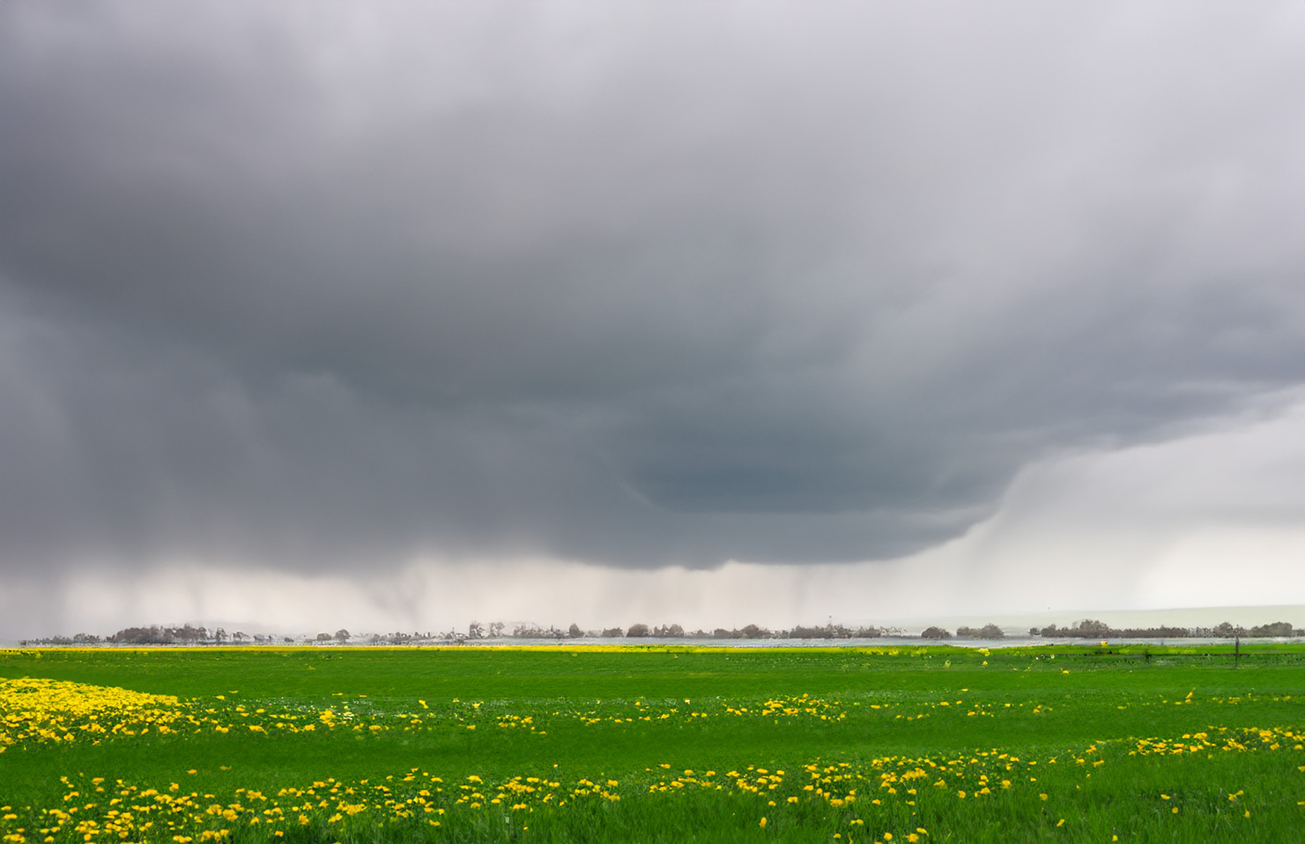 How to Prevent Spring Storm Damage